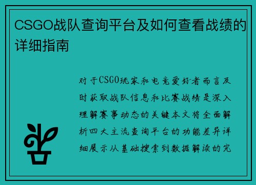 CSGO战队查询平台及如何查看战绩的详细指南